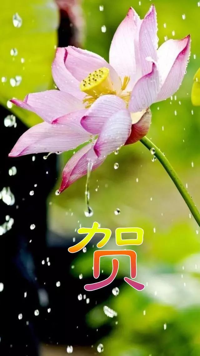 珠宝翡翠艺术字体,翡翠字体图片欣赏