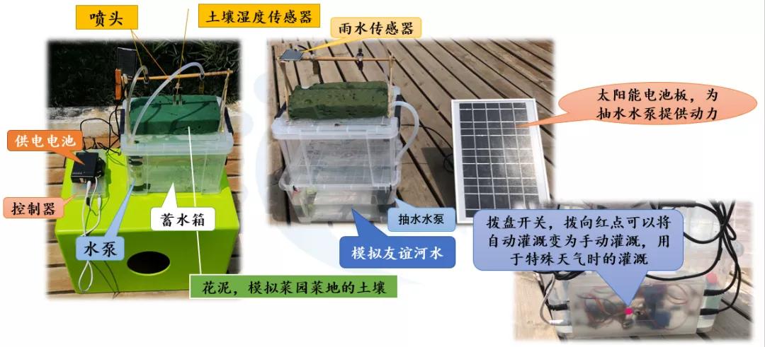 南京比较好的小学学校排名,南京名校小学最新排名