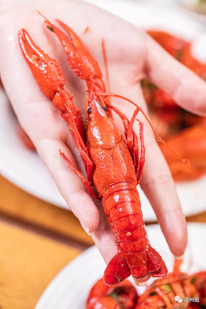 小龙虾海鲜自助烤肉,这家自助餐性价比超高