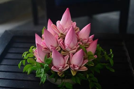 带你了解世界每一个角落,八大花艺流派