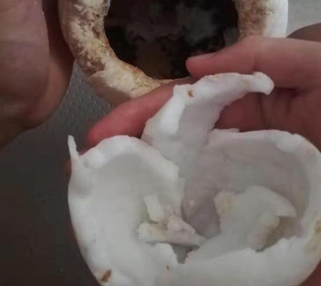 最伤肺的水果有哪些,最伤身体的3种水果