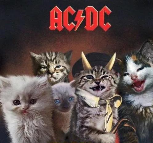 10000左右推荐一款电吉他,1000元电吉他和10000电吉他