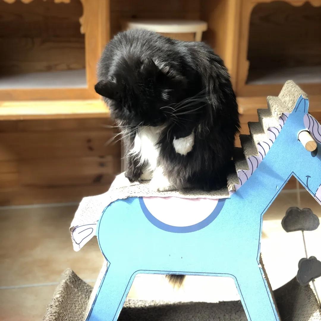 拼头条吗？好姐妹就要一起上啊