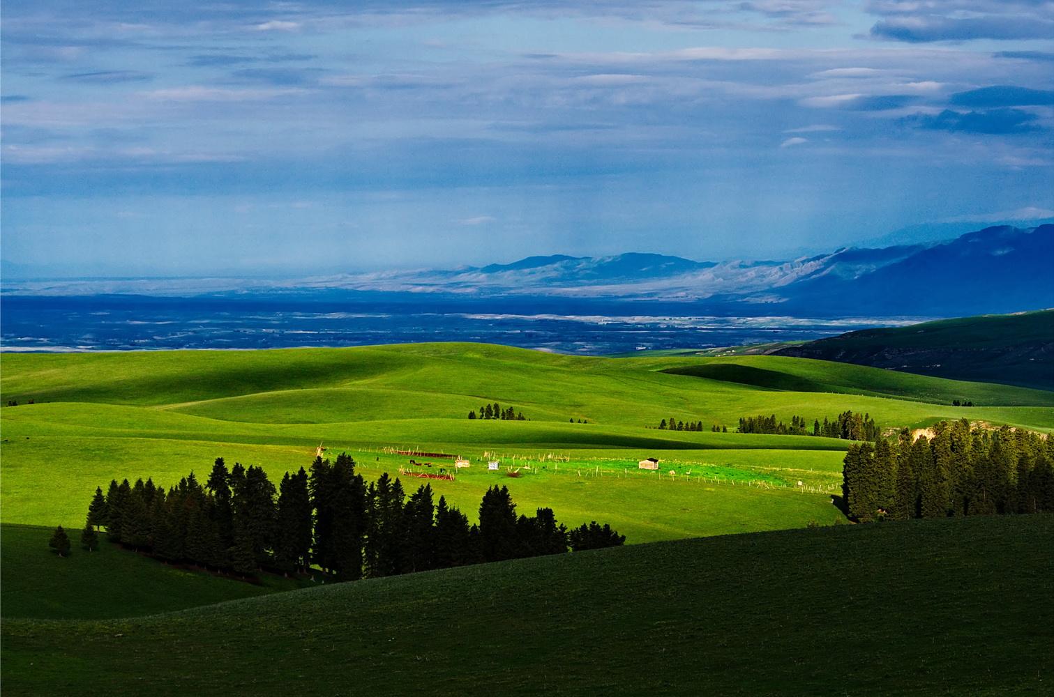 梵高画不出的向日葵,梵高画中的风景