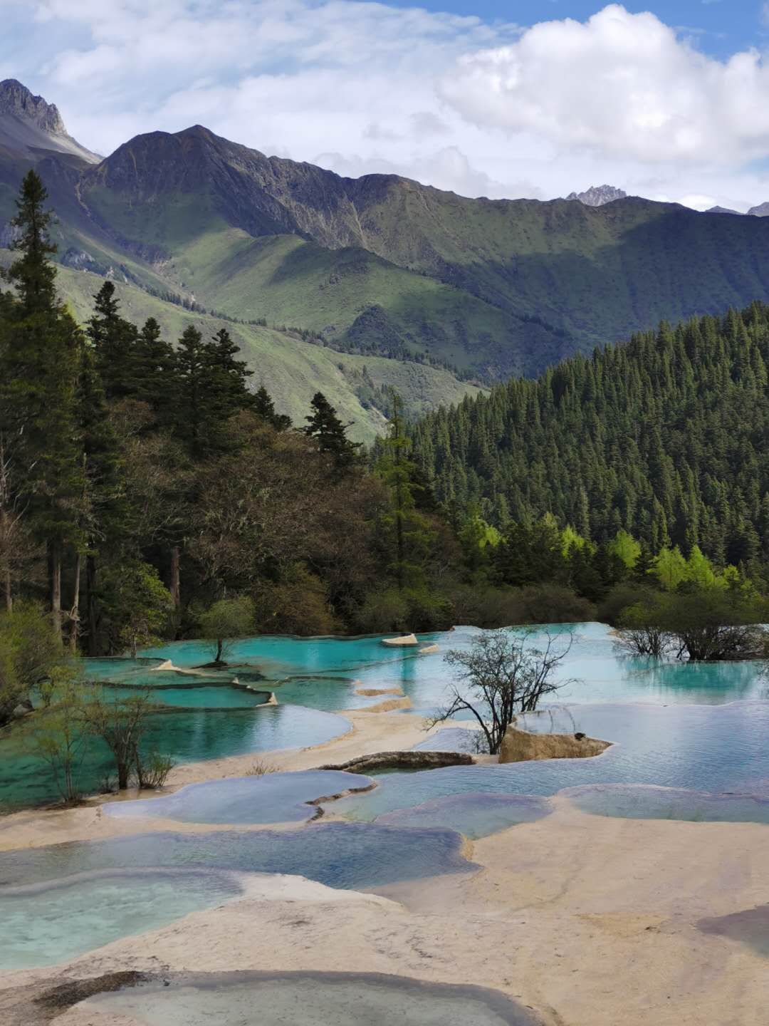 游览被誉为人间瑶池的四川黄龙,黄河之水天上来景区视频