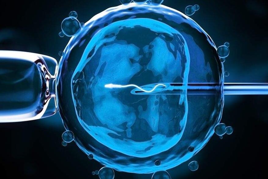 做试管婴儿的人最多做了多少次,做试管婴儿的经历花费