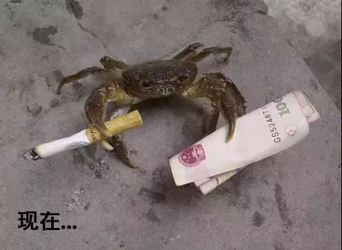 在上海一个月工资两万什么水平,月薪不过3万的看过来