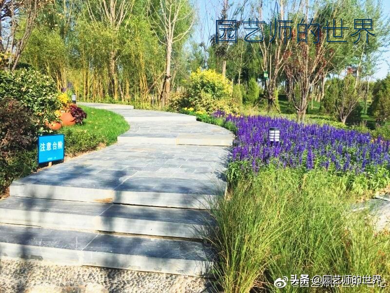 花园科学实验,花园案例及解析