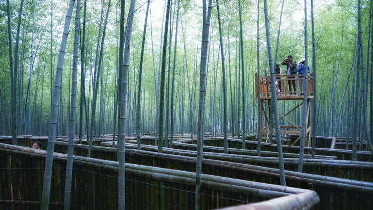 茅山宝盛园周边游玩,茅山宝盛园所有游乐设施