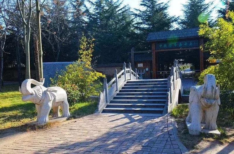 洛阳冬天泡温泉最好的地方,洛阳泡温泉的门票多少