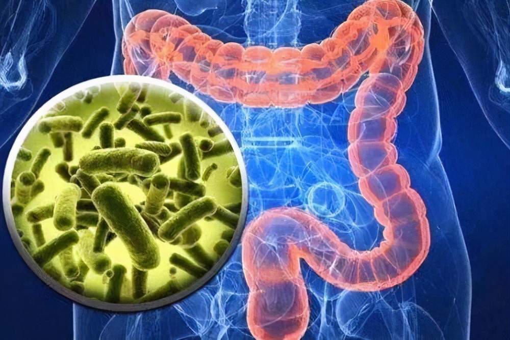 三岁小孩肚子咕咕叫还放臭屁,肚子咕咕响老放臭屁怎么回事