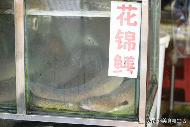 国内有名的海鲜市场,并不是北京新发地,而是广东黄沙水产市场