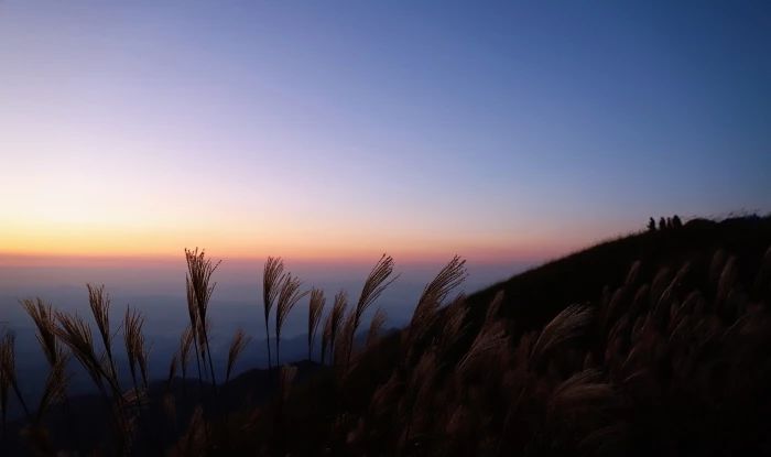 这个户外圣地，火到不需要打广告