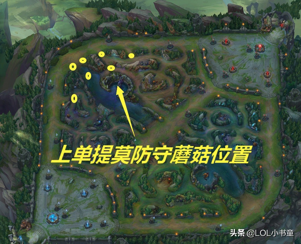 英雄联盟提莫核心玩法,英雄联盟提莫上单教学主什么