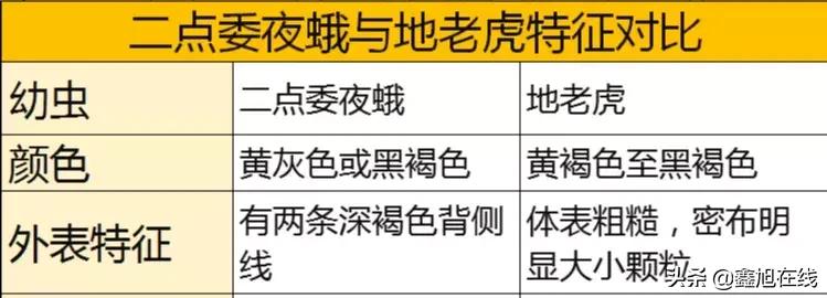 9大肉虫防治，赶紧认清