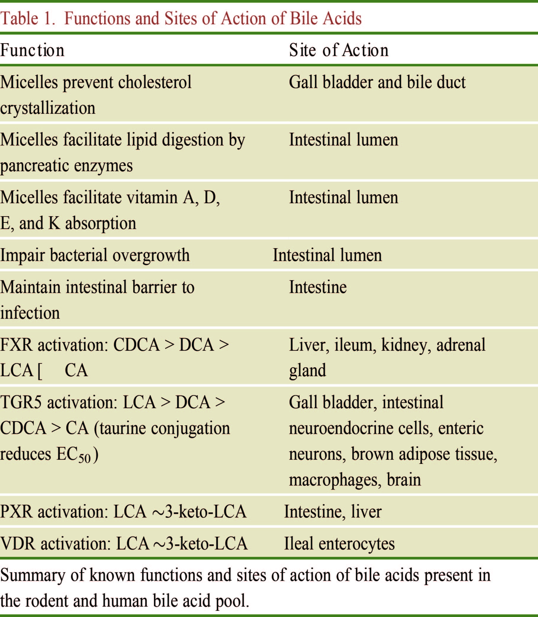 cellmetabolism和cell关系,cellmetabolism影响力