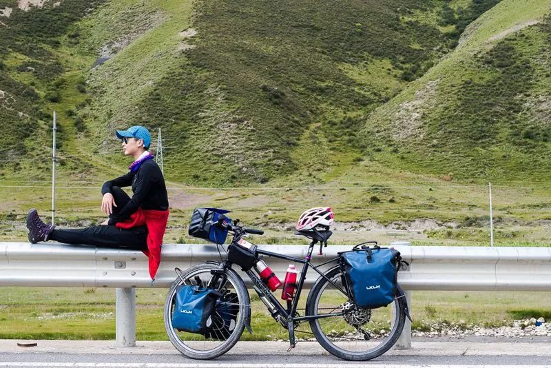 宠物美容专业的职业规划,宠物美容的理解与想法