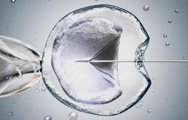 鑻卞浗濂冲瓙缃戜笂璐拱閽堢瓛,閽堢瓛浜哄伐鎺堢簿