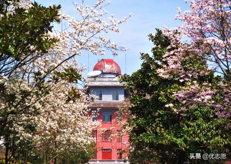 湖南师范大学就业率怎么样?这些专业100%就业