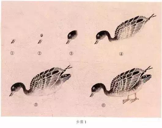 苏百钧工笔国画教学视频,苏百钧花鸟白描画稿