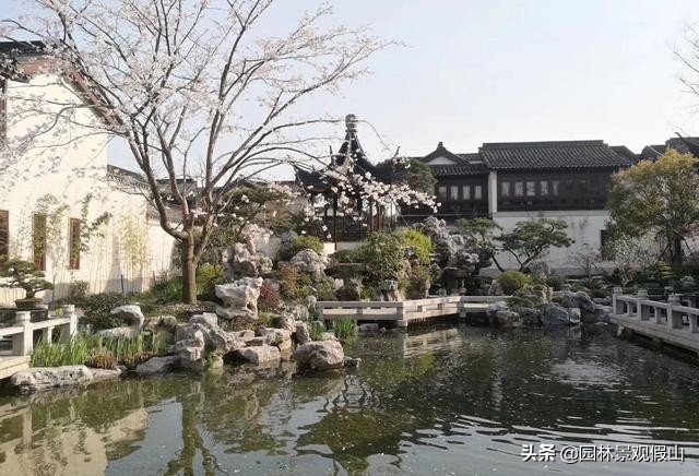 家里摆放假山有什么讲究,家里放假山盆景有什么讲究