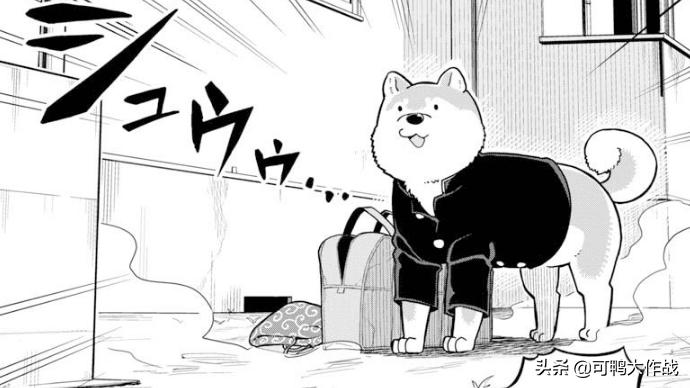 阴阳怪气女主遇上狼族之耻男主，无形回怼很致命，这种搭配太棒