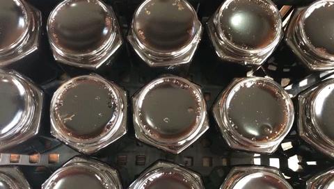 曝光这个龟痴老板,坐拥20多亩养龟场,就为做一瓶龟苓膏