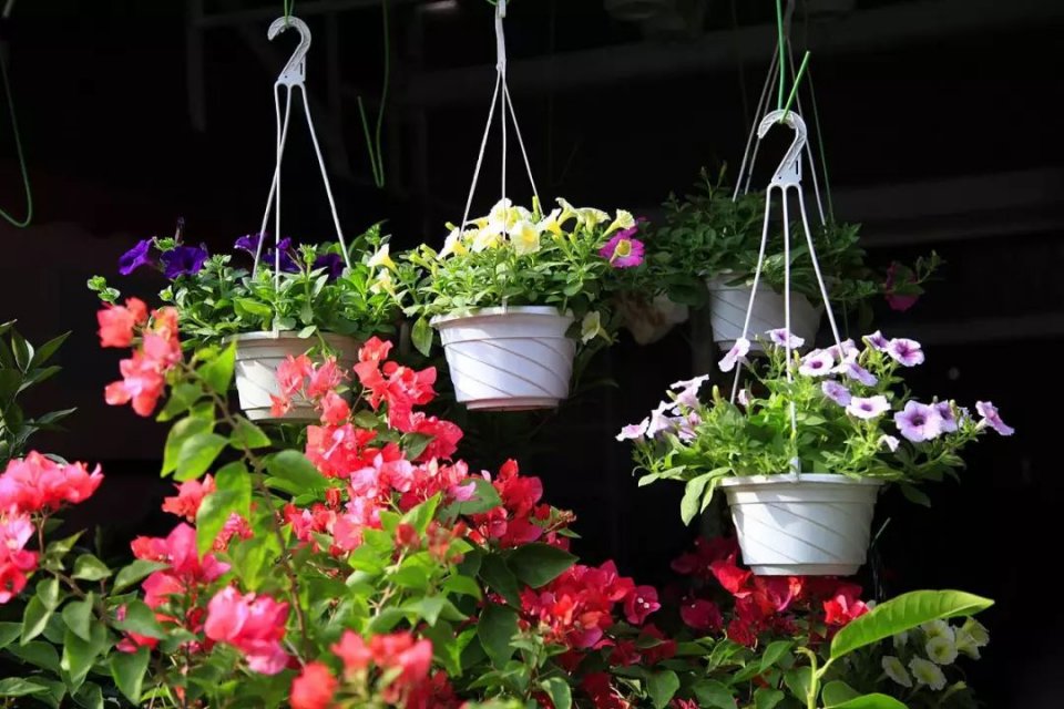 深圳年货批发市场拿货渠道,深圳南山年货市场在哪里