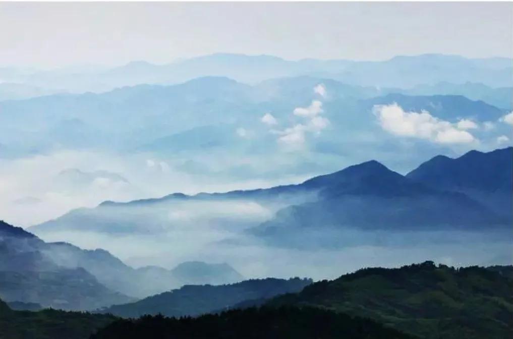 春日茗茶似神仙!厦门人究竟有多好这一口