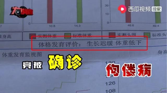 大头娃娃到底是不是炒作,12年大头娃娃