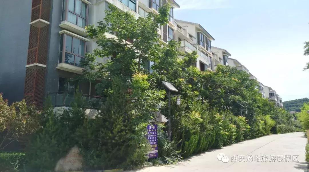 汤峪房屋,汤峪房屋租赁