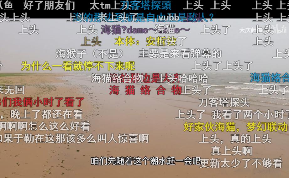 为何年轻人都在沉迷赶海视频,为什么大家都爱看赶海