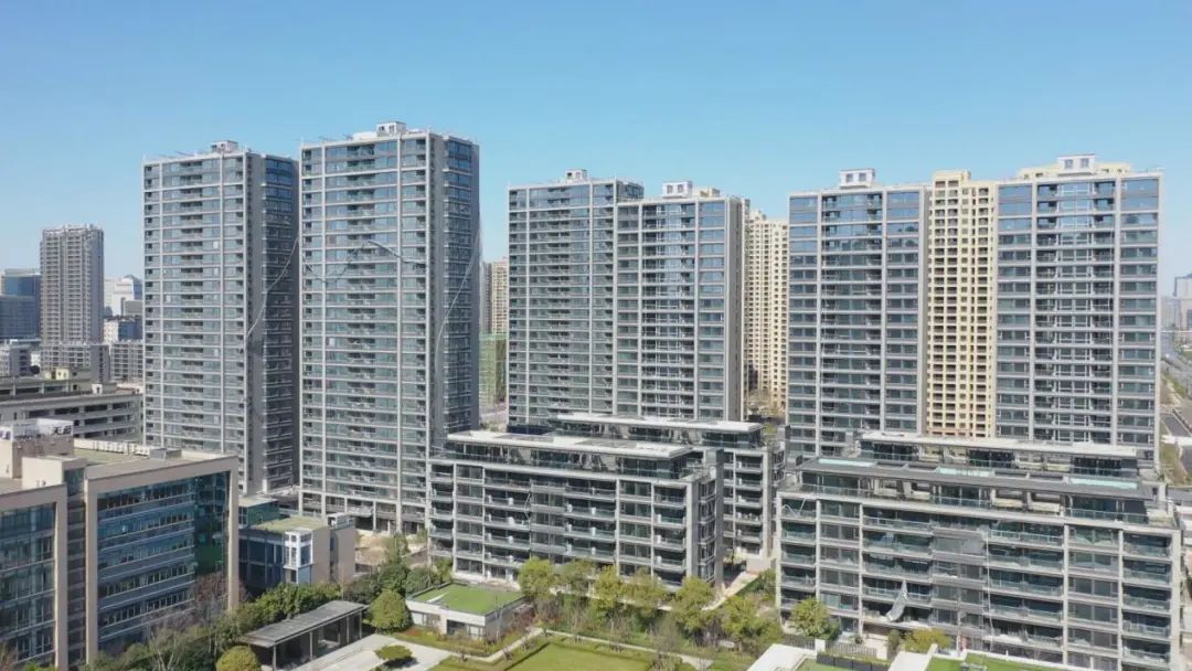 萧山市北西三花争艳未婚女记者翻了谁的牌？丨跑盘Vlog04