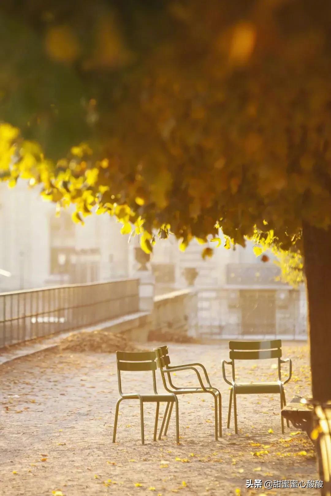 总以为来日方长却忘了世事无常,来日方长却忘了世事无常的意思