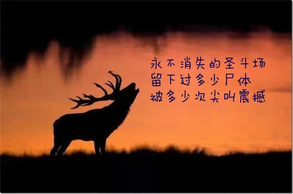 你看过的最伤感的诗句是什么,听过最落寞的一句话或诗句是什么