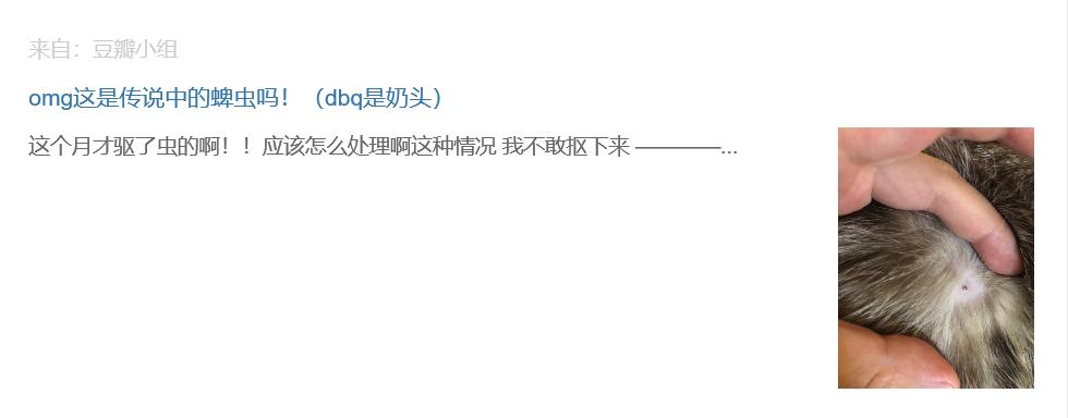 我差一点，让猫咪痛失乳头