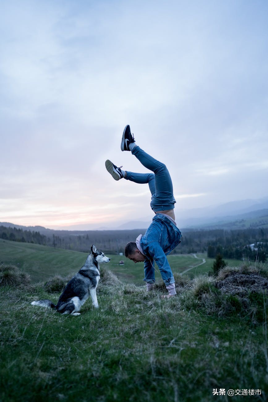 南阳市回收各种药,南阳市最新土地拍卖公告