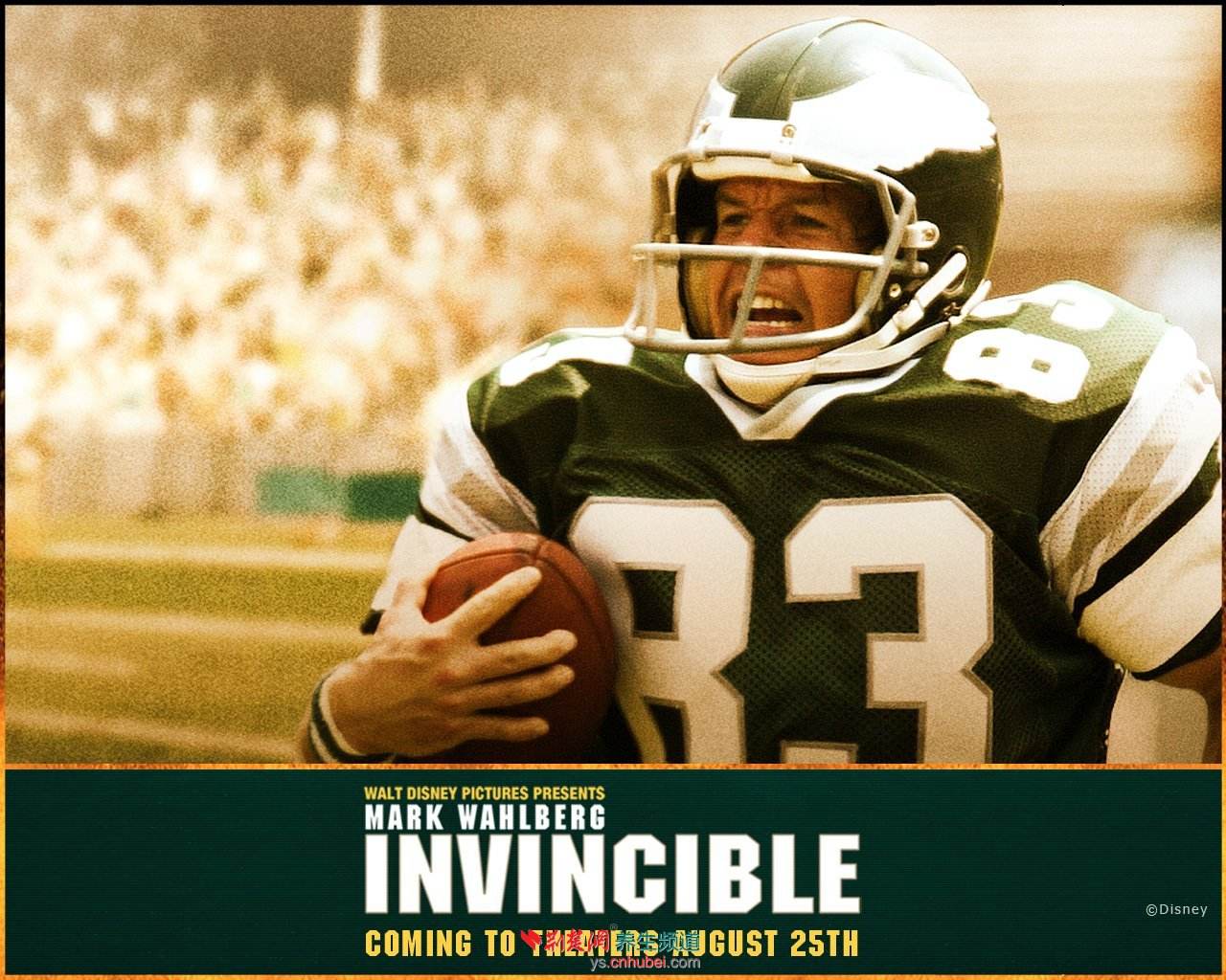 说个球,关于球的知识你知道有多少