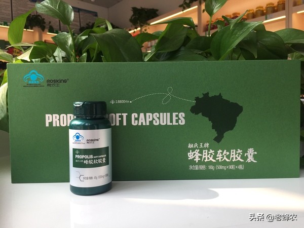 蜂胶为何价格堪比黄金,蜂胶贵还是黄金贵