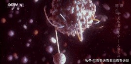 男人都是下半身动物？BBC来揭秘了！