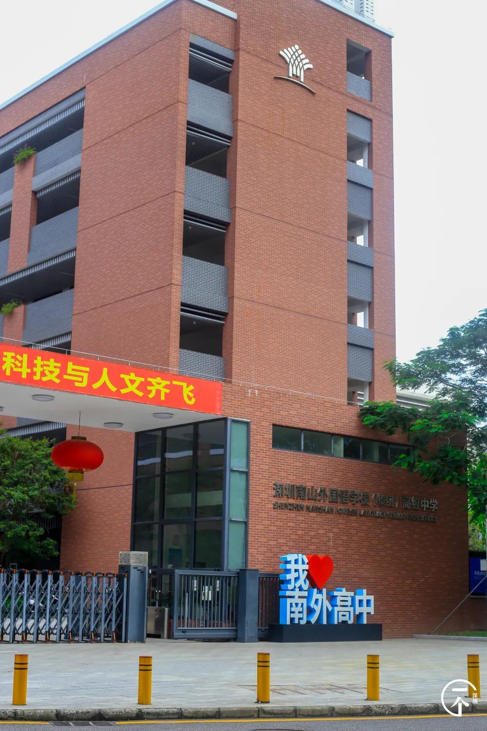 测评深圳湾,我直接被房租劝退