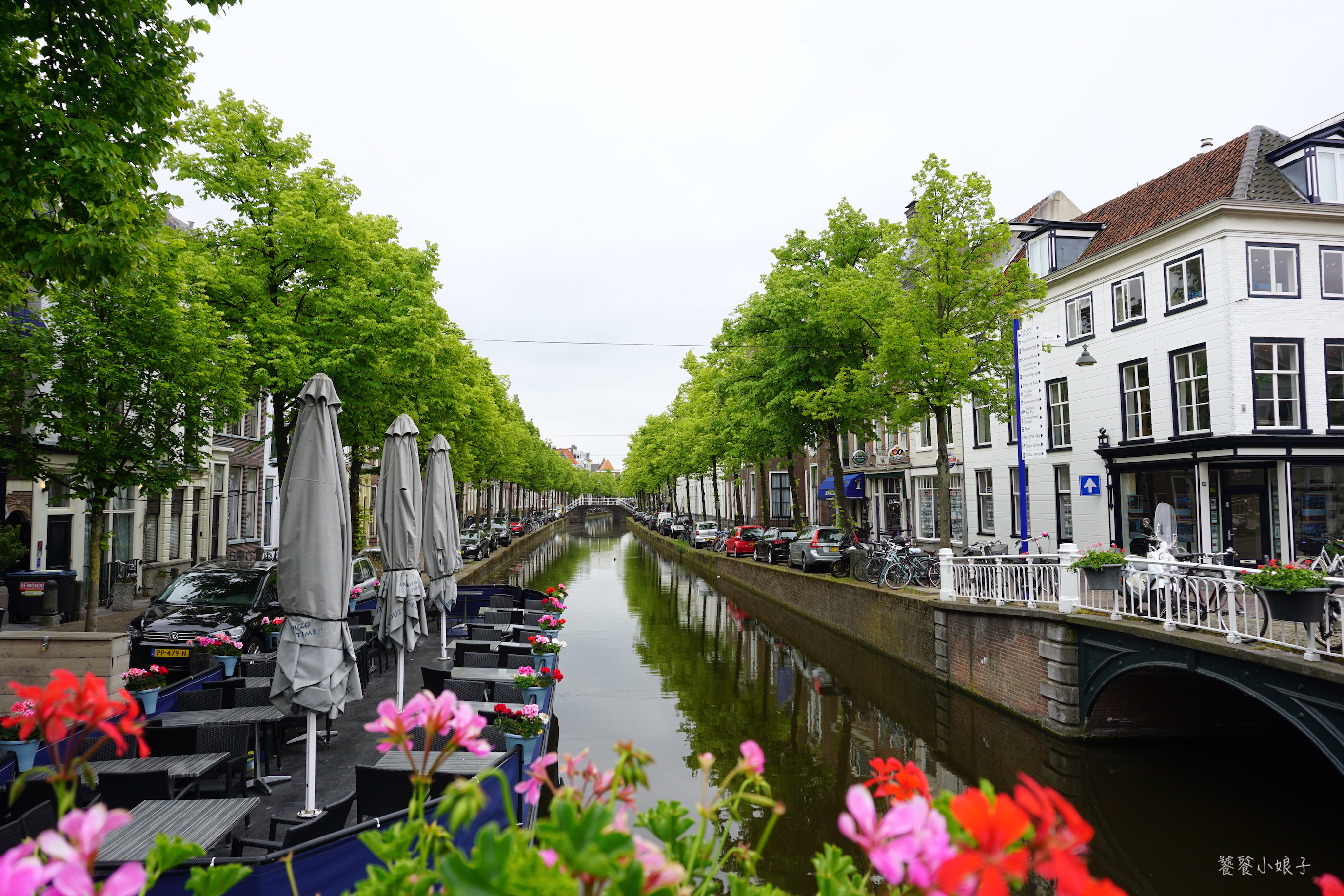 为什么荷兰足球这么强,荷兰足球队为什么穿橙色