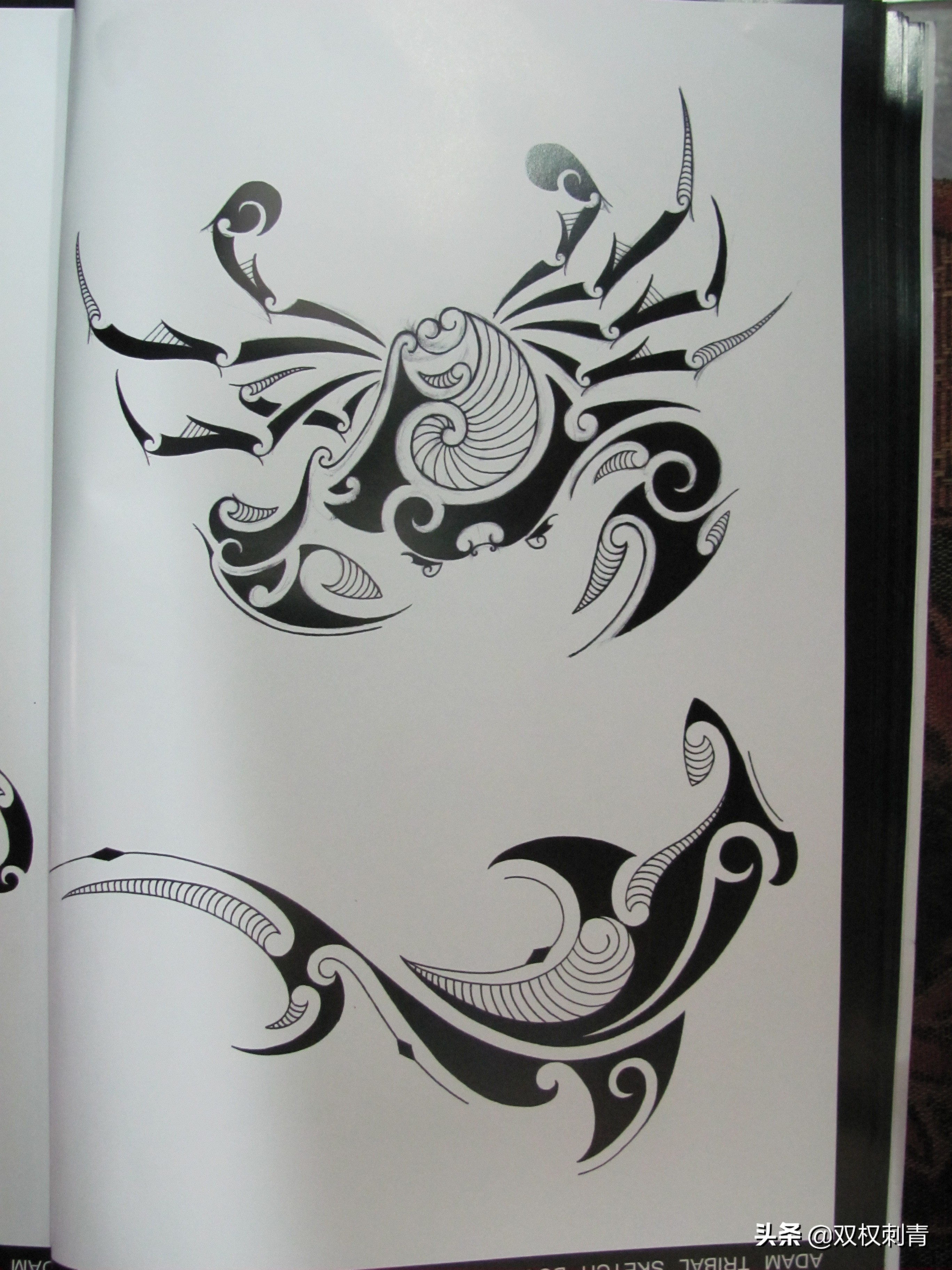 凤凰图腾图,张氏图腾图