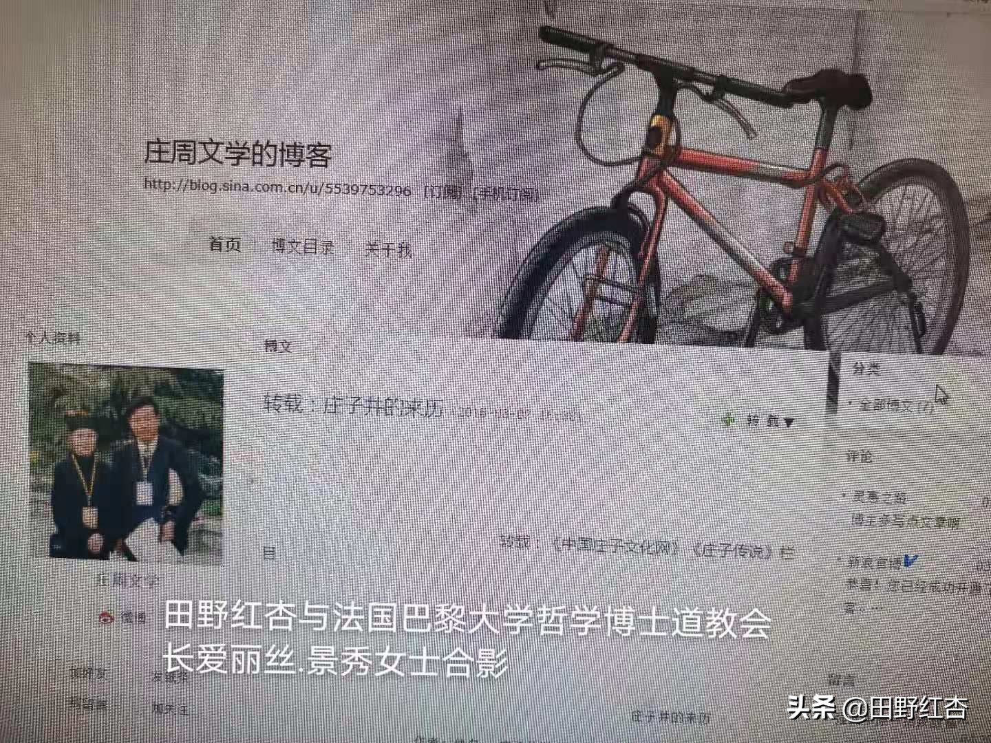 中国新浪明星博客圈入选标准是什么？田野红杏凭借什么入选的