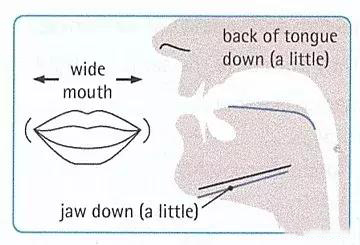 英语音标对应字母及发音规则,英语发音规则以及读法详解