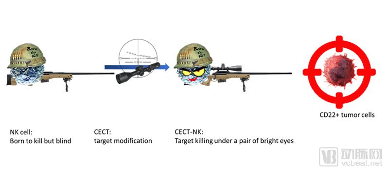 免疫治疗能抑制肿瘤生长吗,免疫治疗是不让癌细胞生长么