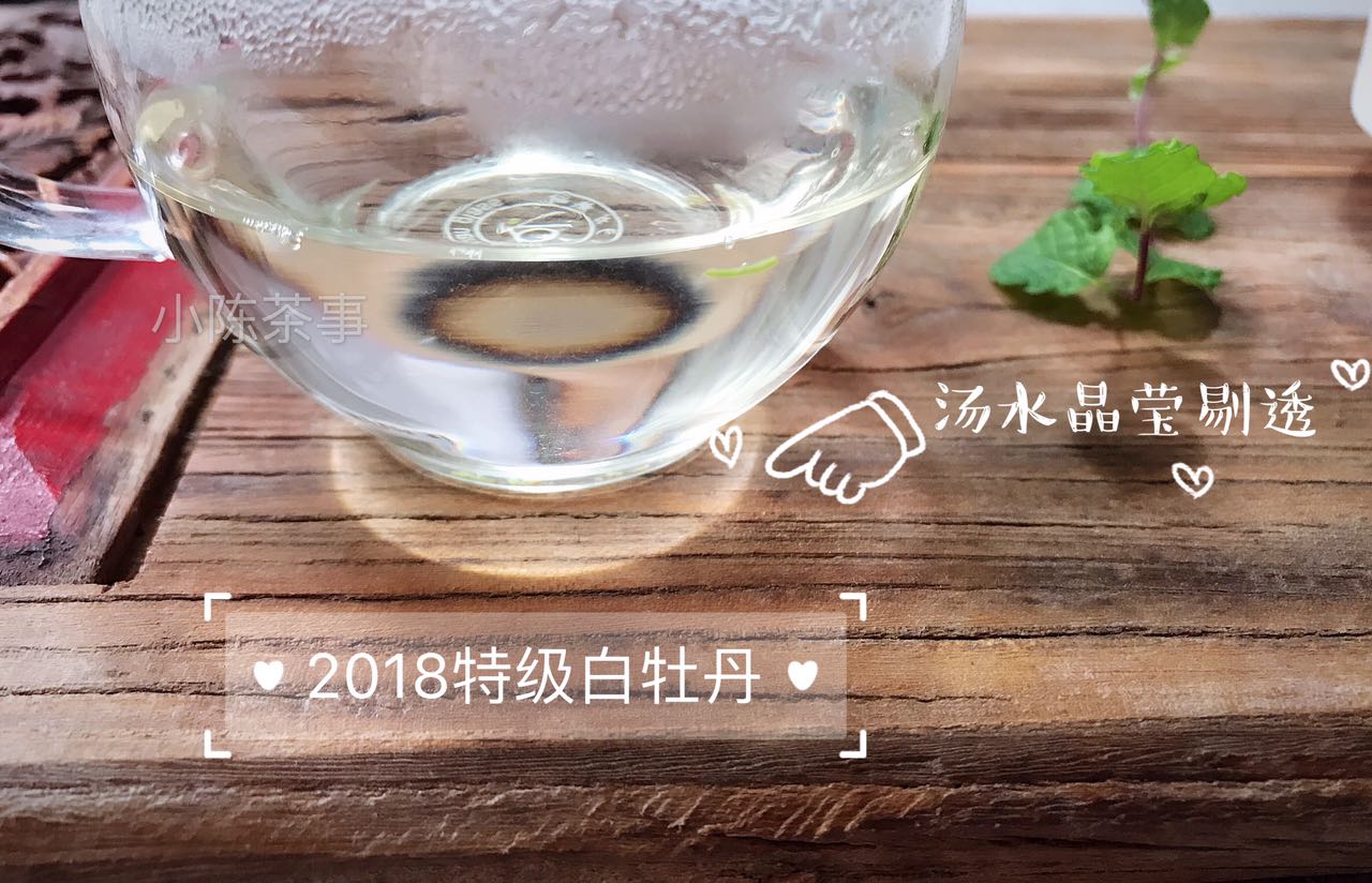 如何从香气辨别茶叶的好坏,买茶时如何分辨茶的好坏