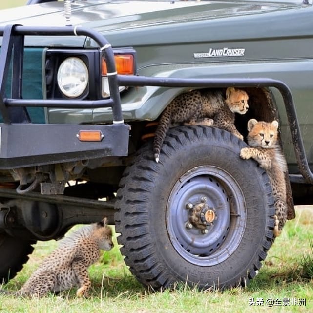 非洲旅游攻略,非洲旅游旅游攻略