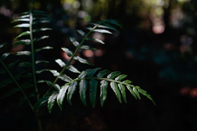 广州情侣自驾一日游推荐,广州浪漫自驾
