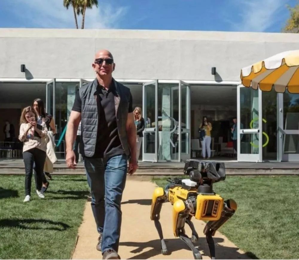 网红大黄狗狗,160万网红大黄狗